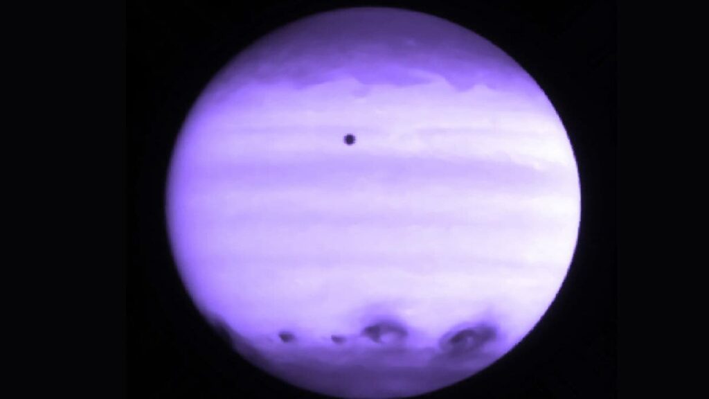 SCI 5 F 1746171511570